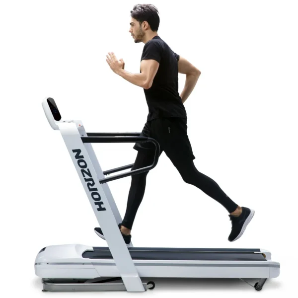 Cinta Omega Z • [20 km/h- 140cm] AMORTIGUADORES