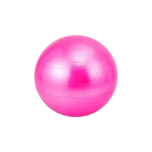Fitball 55cm